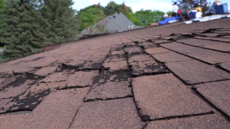 Best Chimney Flashing Repair  in Hanapepe, HI
