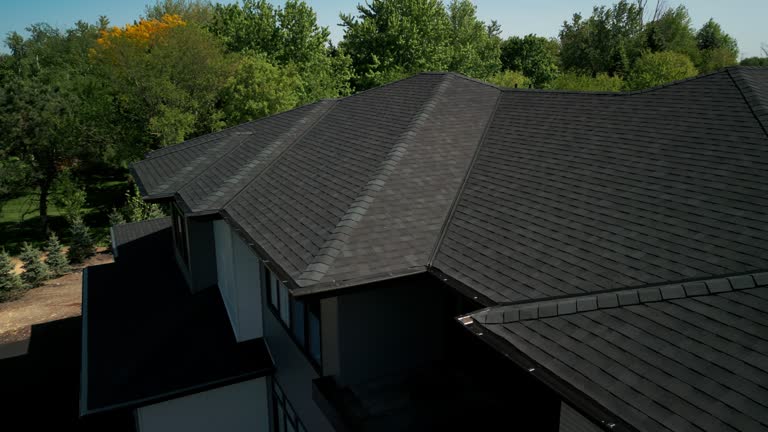 Best Roof Ventilation Installation  in Hanapepe, HI