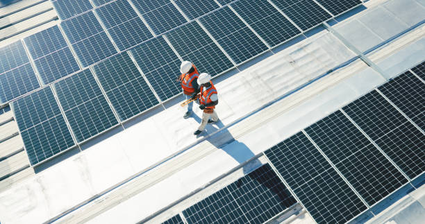 Best Roof Insulation Installation  in Hanapepe, HI