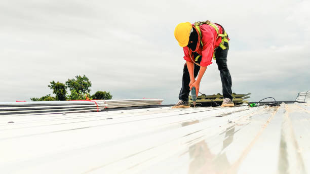 Best Asphalt Shingle Roofing  in Hanapepe, HI