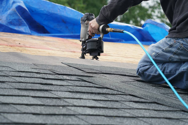 Best Roof Moss and Algae Removal  in Hanapepe, HI