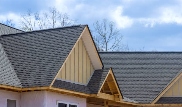 Best Skylight Installation and Repair  in Hanapepe, HI